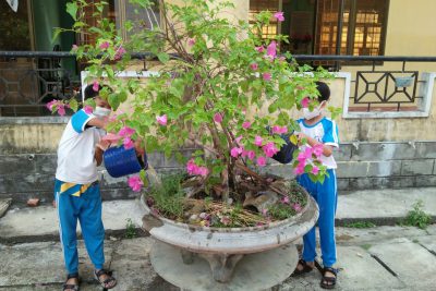 Chăm sóc “Công trình măng non” Chăm sóc “Công trình măng non”